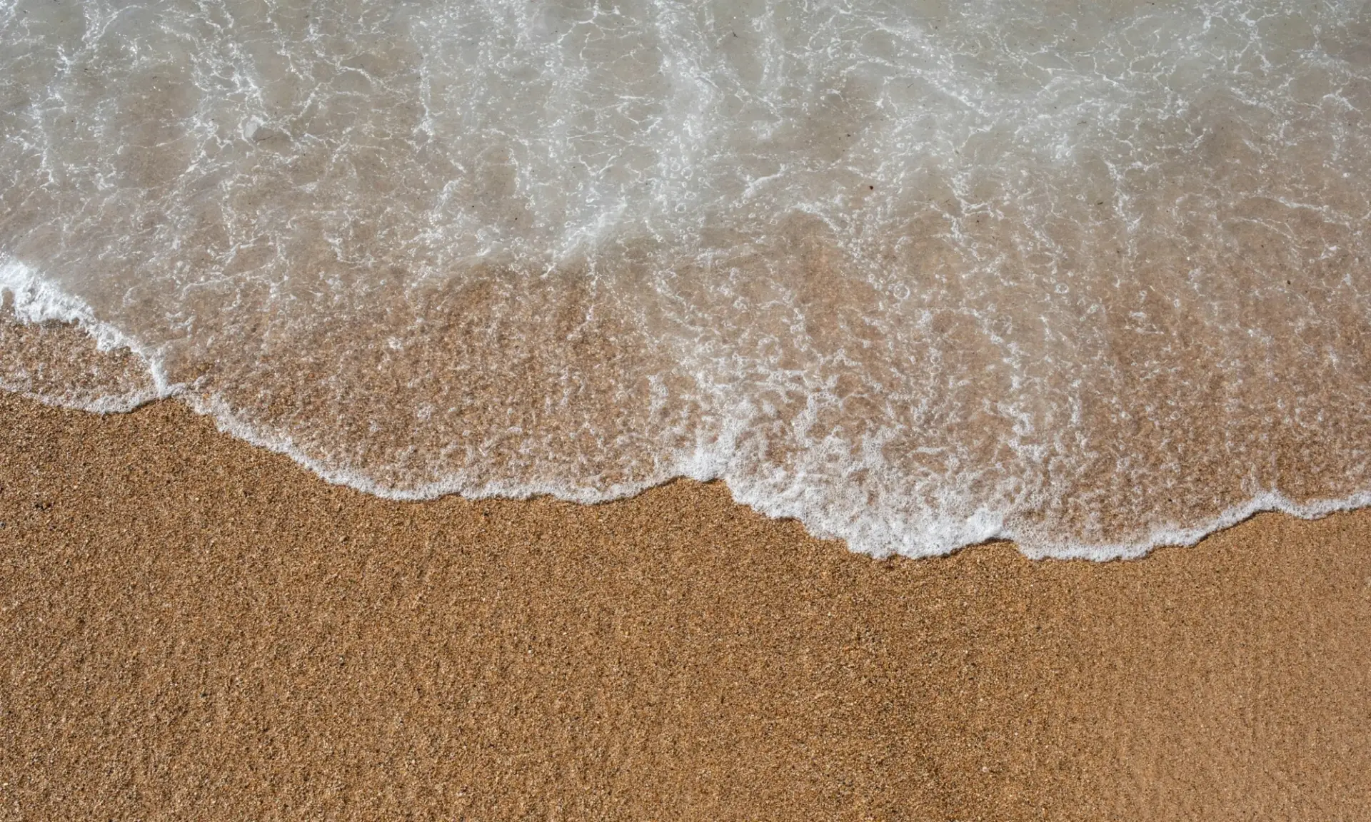 Amar 3 9 copia 1 e1760137934769